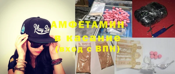 сатива Абаза