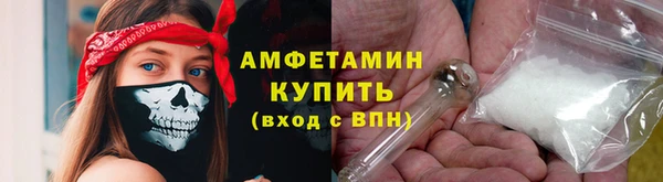 сатива Абаза