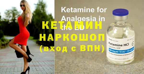 сатива Абаза