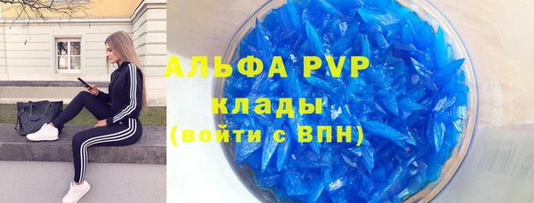 сатива Абаза